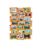 Jolly Phonics Readers,Complete Set ORANGE Level (pack of 21)